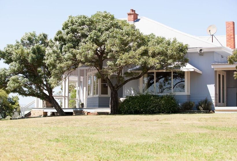 Audrey Wilkinson Vineyard