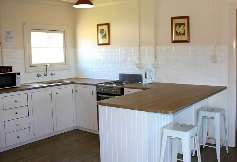 Audrey Wilkinson Vineyard