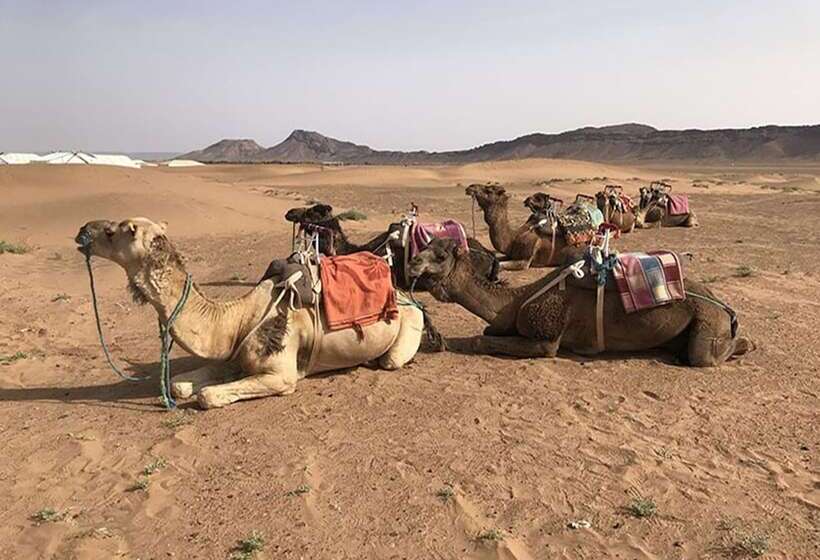 پانسیون Bivouac Sahara Relax