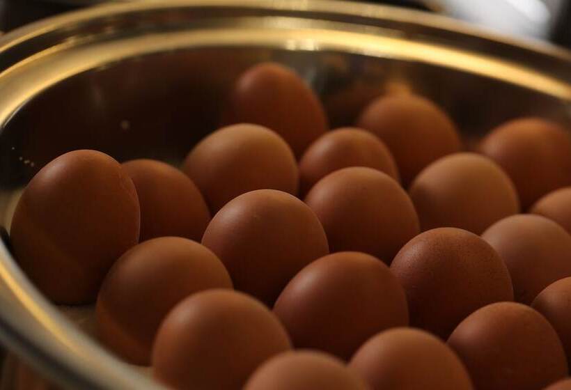 فندق Grand Corner