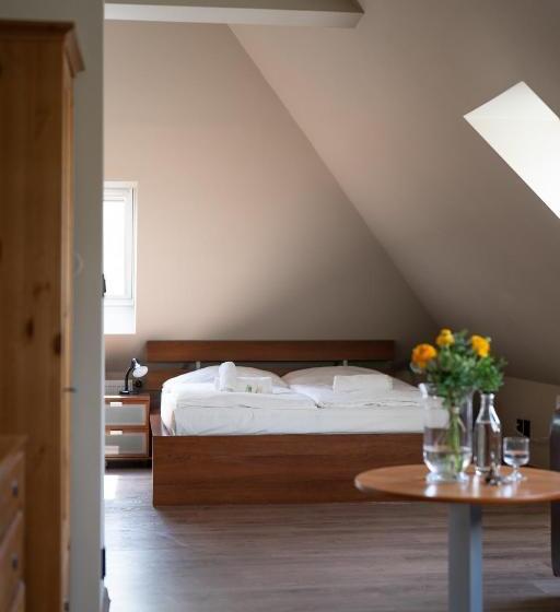 بنسيون Penzion A Restaurace Bílý Mlýn