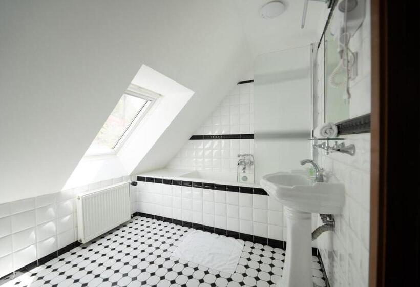 بنسيون Penzion A Restaurace Bílý Mlýn