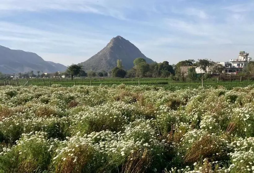 ホテル The Pushkar Flower