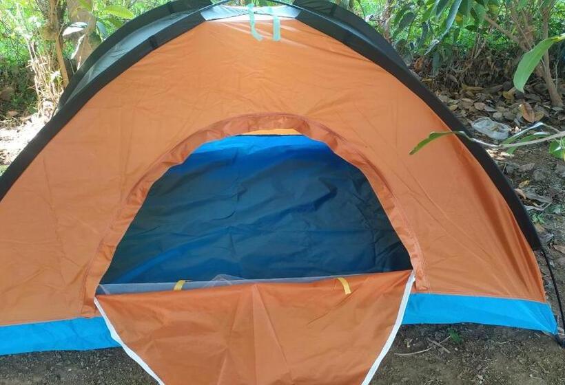 Hotel The Pushkar Flower