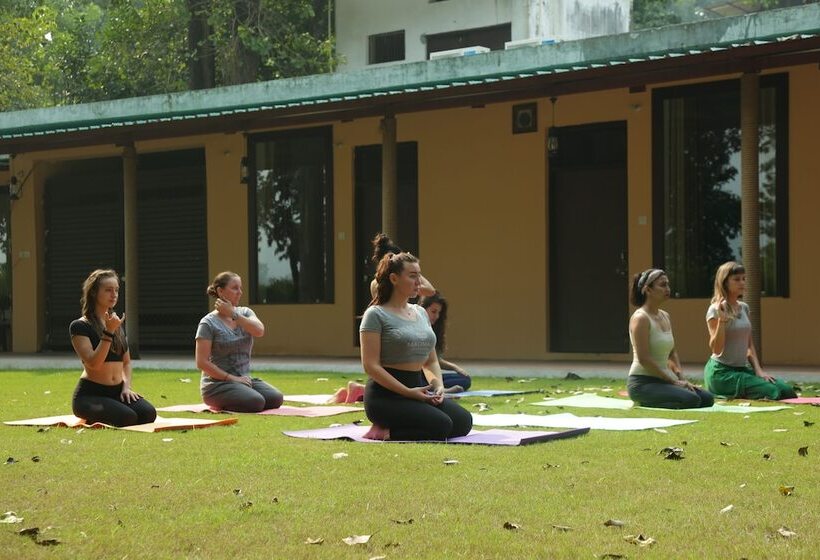 Hotell Ganga Yog Retreat By Yog Gurukul