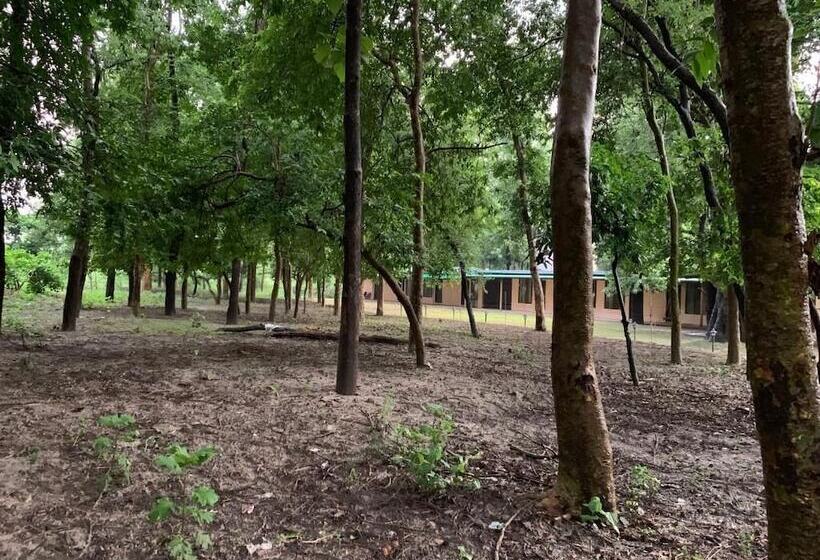 Hotell Ganga Yog Retreat By Yog Gurukul