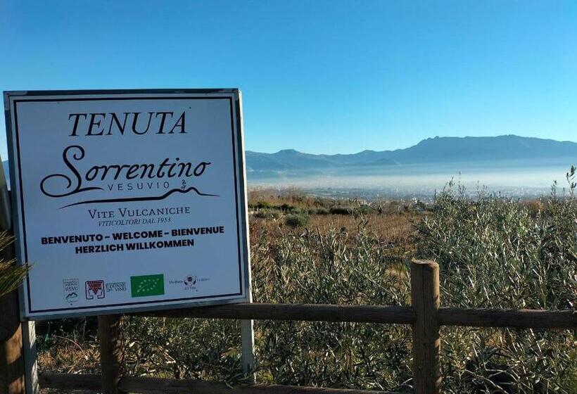 استراحتگاه Vesuvio Inn Bed & Wine Experience