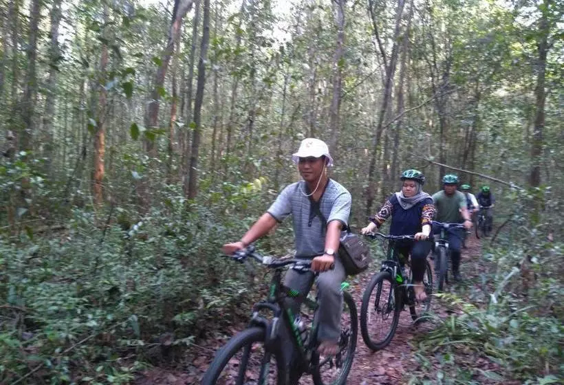 ホテル Borneo Escape Eco Village
