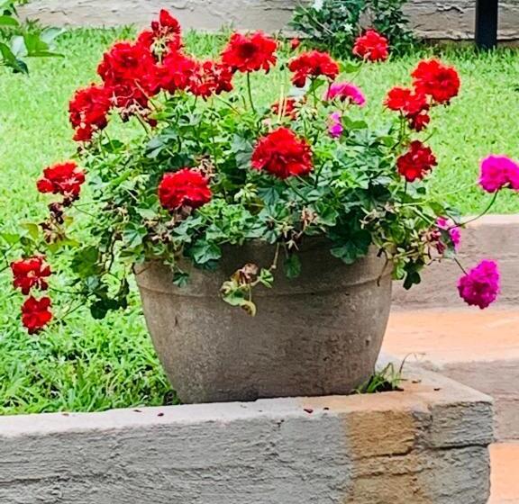 펜션 Douglas Villas