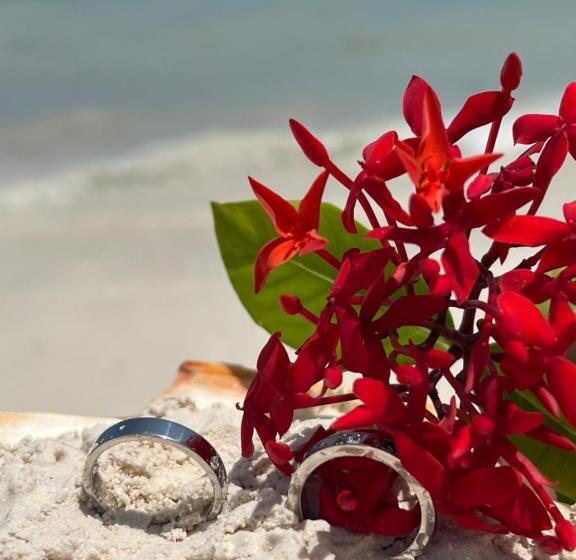 Gadea Boutique Hotel& Gadea Garden Italian Restaurant