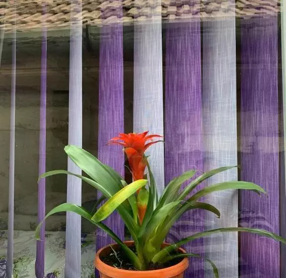 Pensiunea Casa Maria