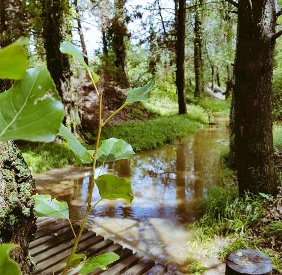 پانسیون His Vessel Guesthouse Clarens Fs