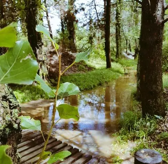 Majatalo His Vessel Guesthouse Clarens Fs