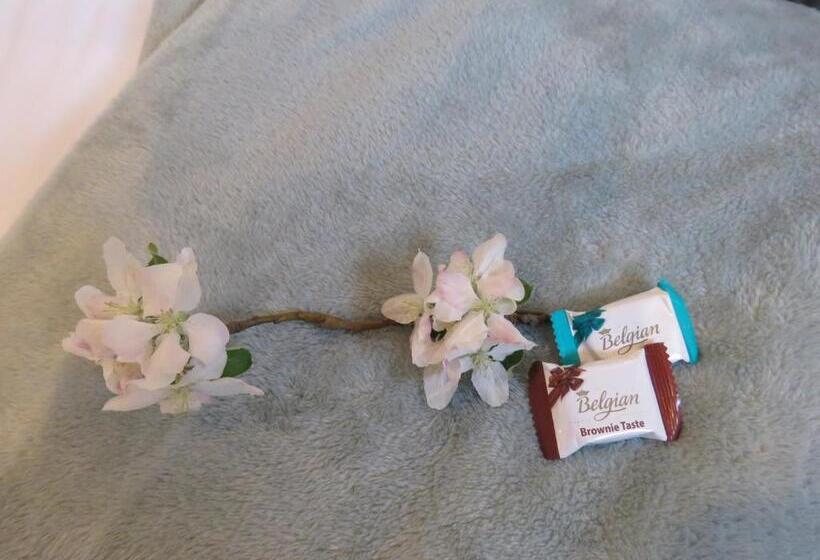 پانسیون His Vessel Guesthouse Clarens Fs