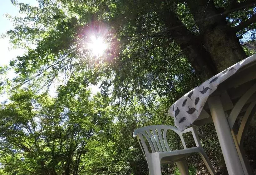 Majatalo His Vessel Guesthouse Clarens Fs