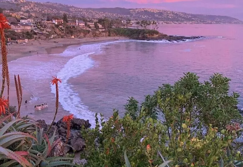 Art Hotel Laguna Beach