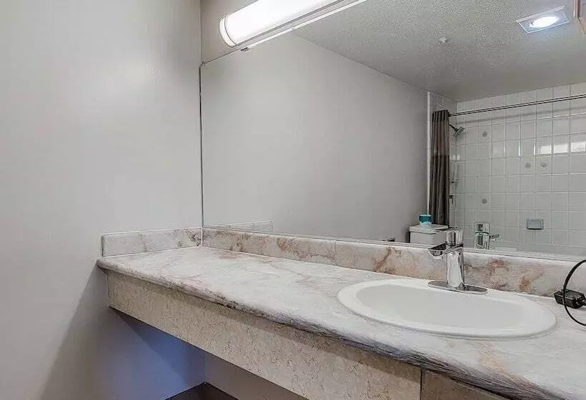 Art Hotel Laguna Beach