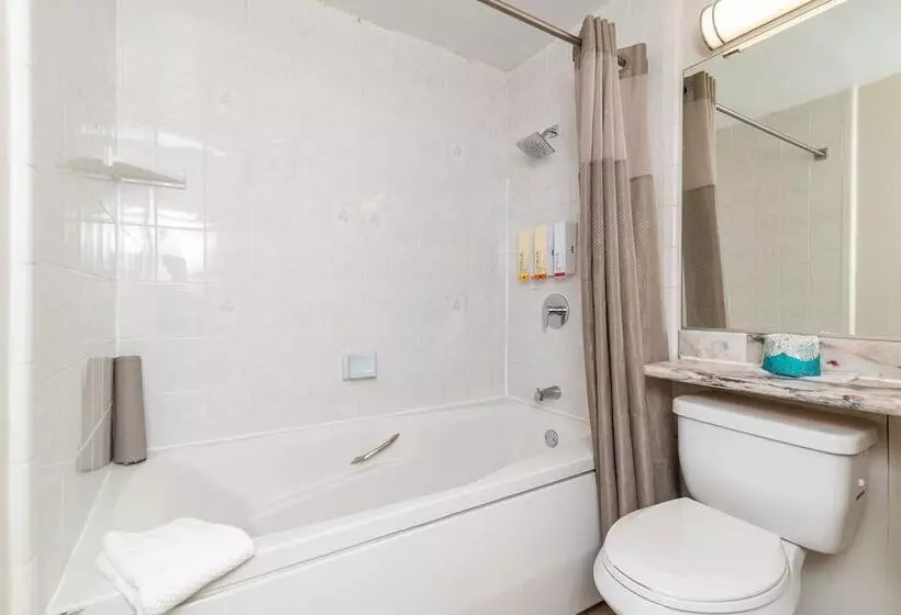 Art Hotel Laguna Beach