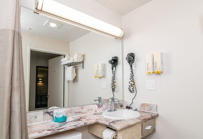 Art Hotel Laguna Beach