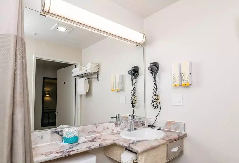 Art Hotel Laguna Beach