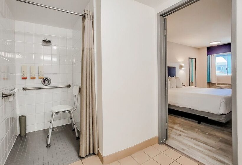 Art Hotel Laguna Beach