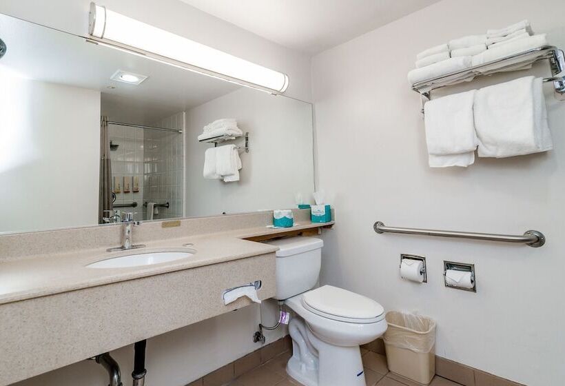 Art Hotel Laguna Beach