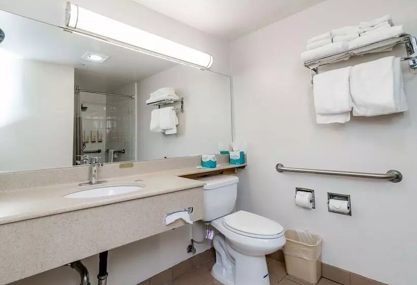 Art Hotel Laguna Beach