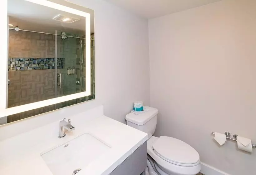 Art Hotel Laguna Beach