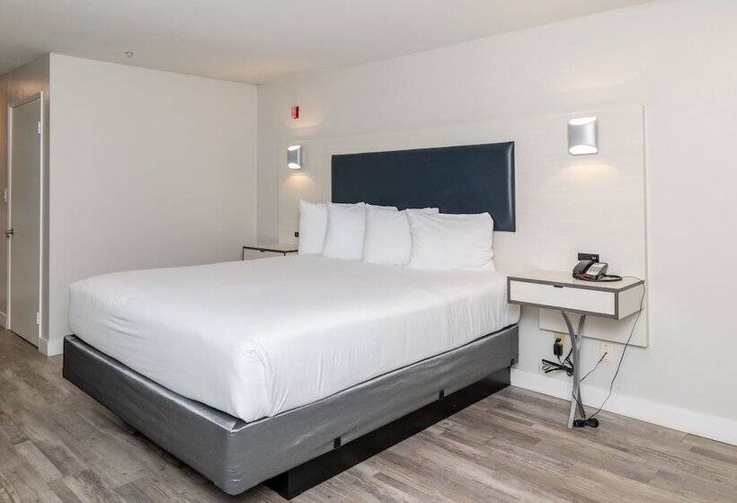 Art Hotel Laguna Beach