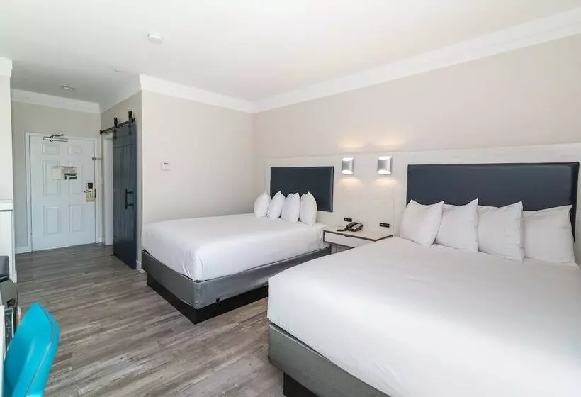 Art Hotel Laguna Beach