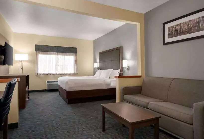 Отель Wingate By Wyndham Appleton