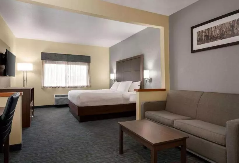 Отель Wingate By Wyndham Appleton