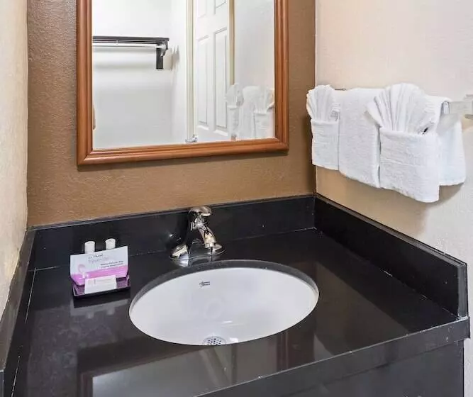 ホテル Fairfield Inn & Suites By Marriott Atlanta Perimeter Center