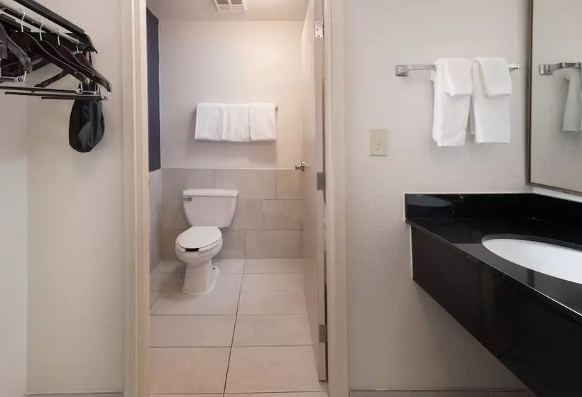 ホテル Fairfield By Marriott Inn & Suites Fossil Creek