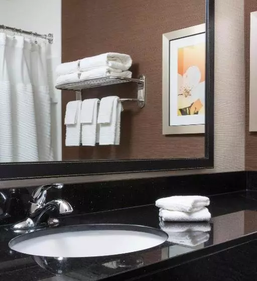 ホテル Fairfield Inn & Suites Peru