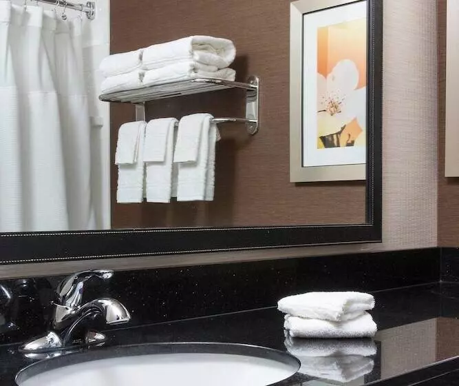 ホテル Fairfield Inn & Suites Peru