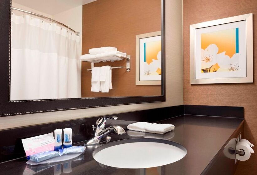 ホテル Fairfield Inn & Suites Waco South