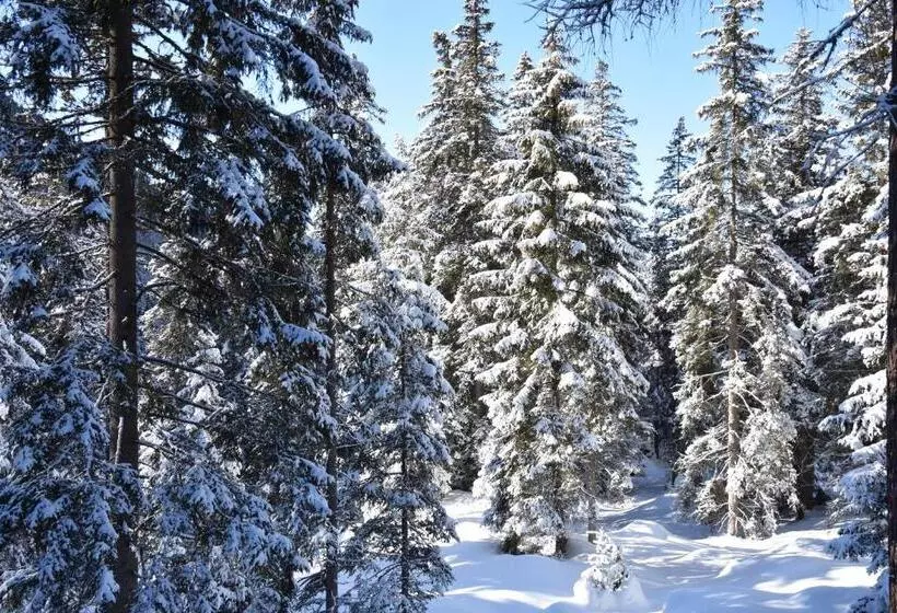 ホテル Chalet & Appartement Zingerlehof Trens