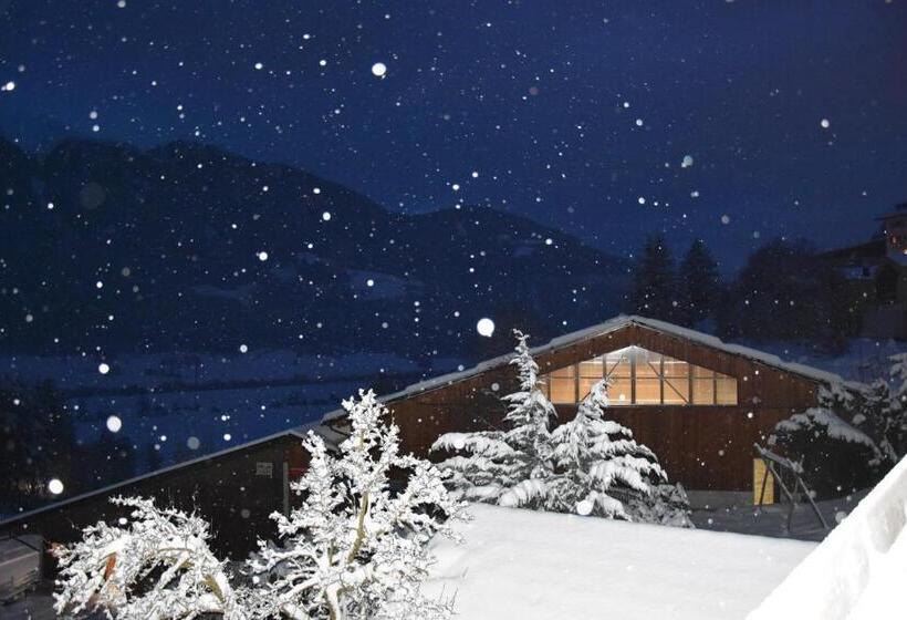 Отель Chalet & Appartement Zingerlehof Trens