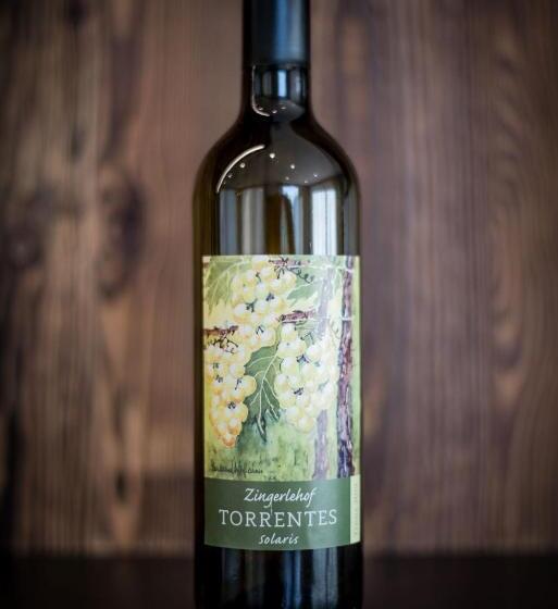 Отель Chalet & Appartement Zingerlehof Trens