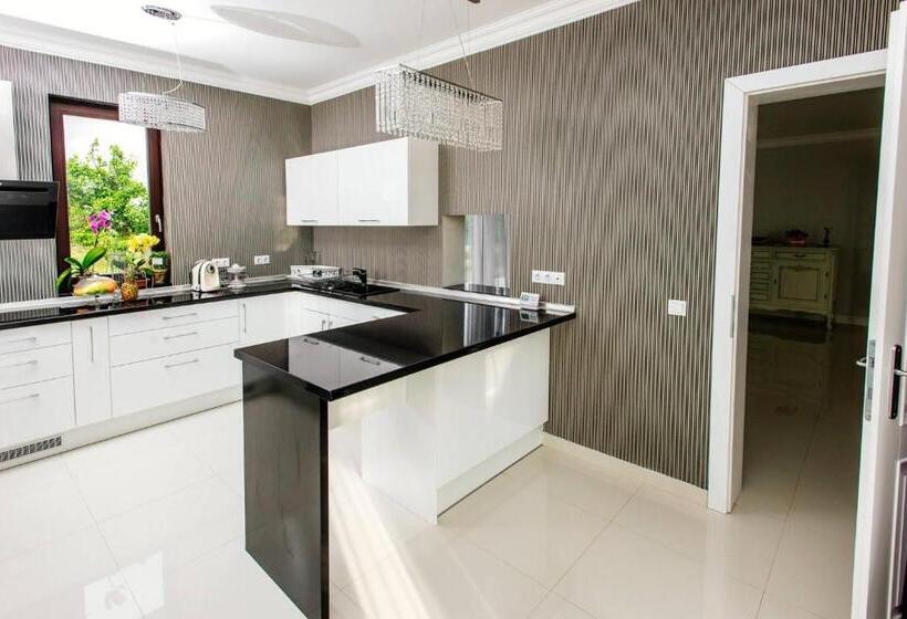 Pensiunea Primaverii