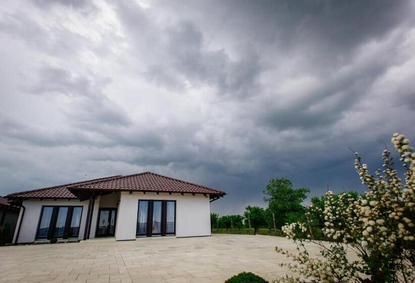 Pensiunea Primaverii