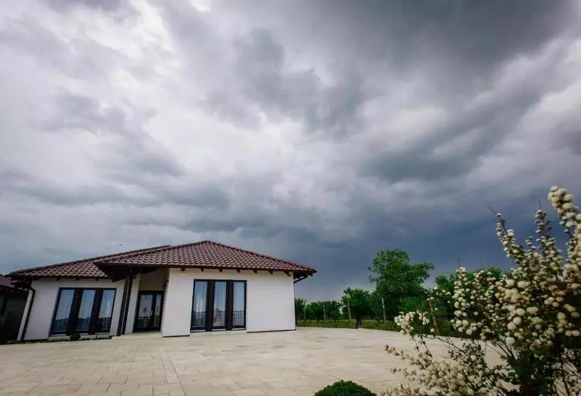 Pensiunea Primaverii