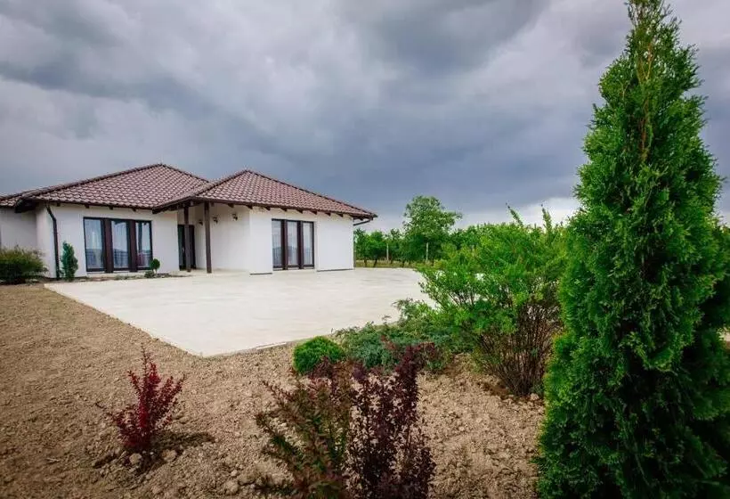 Pensiunea Primaverii