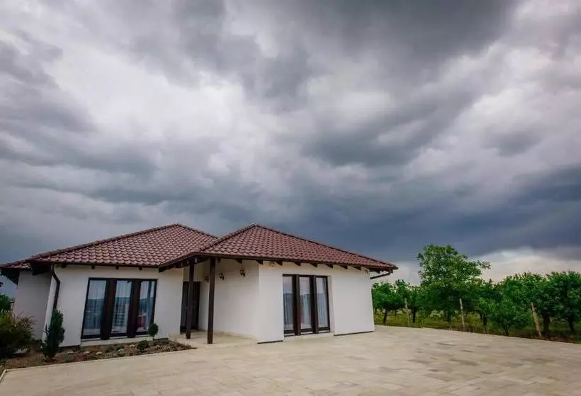 Pensiunea Primaverii