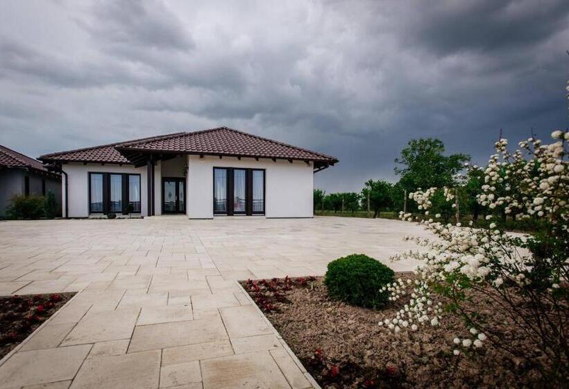 Pensiunea Primaverii