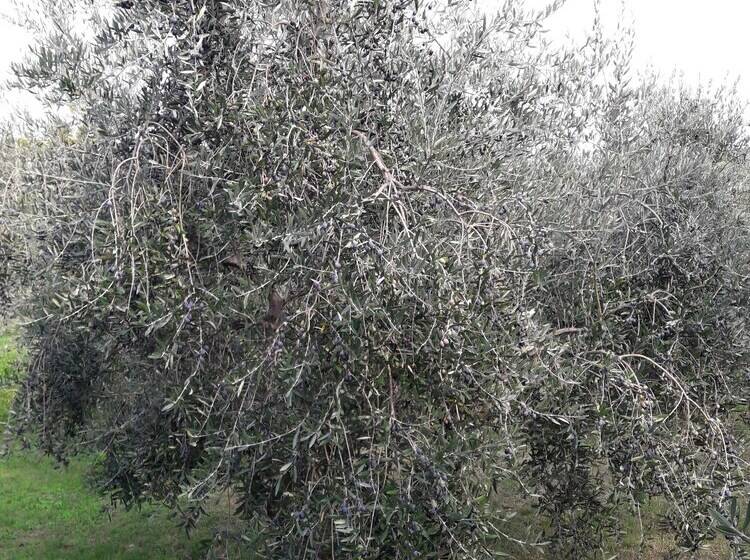 Apartma Kočevar Portorož