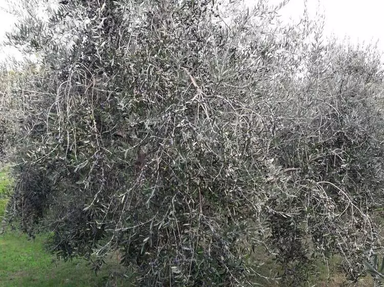 Apartma Kočevar Portorož