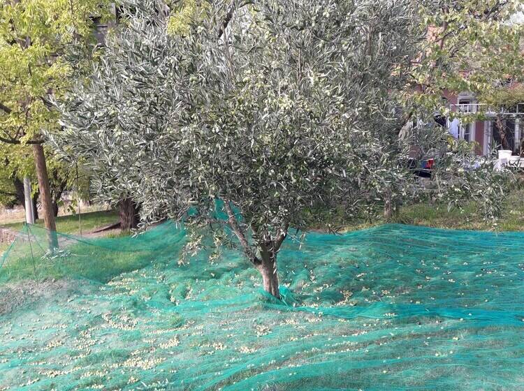 Apartma Kočevar Portorož