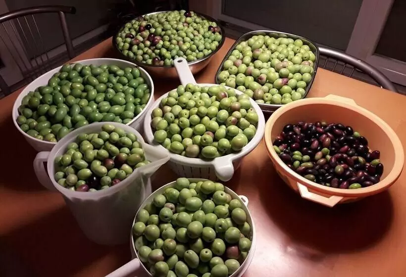 Apartma Kočevar Portorož